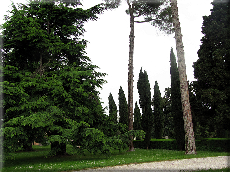 foto Parco di Villa Emo